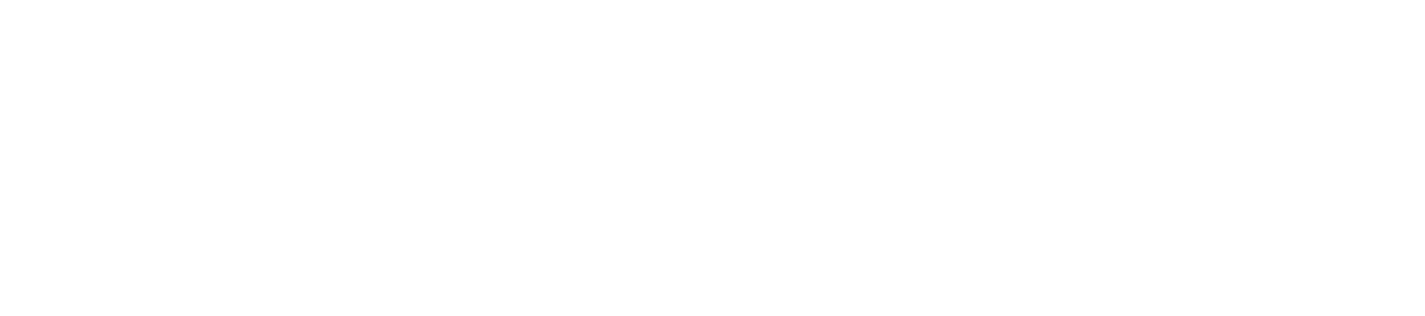 Playtech Live Game